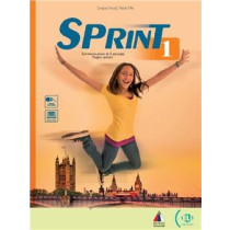 Sprint 1