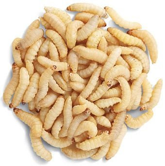 CRVI PAKOVANJE