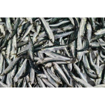 SARDINE PAKOVANJE