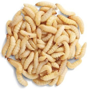 CRVI PAKOVANJE