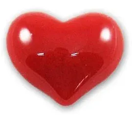 Magnet Srce