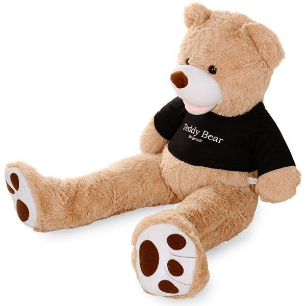 Teddy Bear