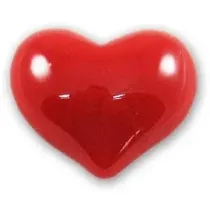 Magnet Srce