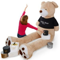 Teddy Bear