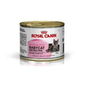 ROYAL CANIN SHN Maxi Adult +5, preko 5 godina
