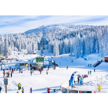 Kopaonik