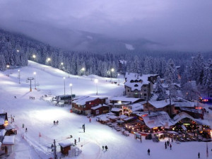 Borovec