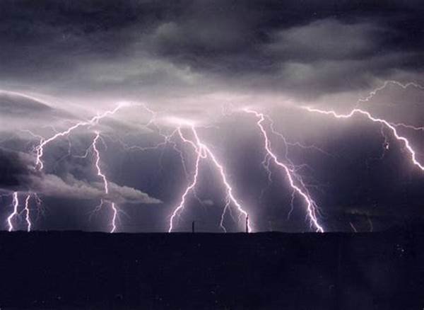 Thunderpick