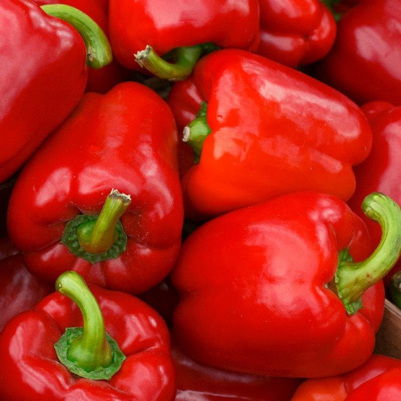 Crvena paprika