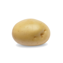 Krompir