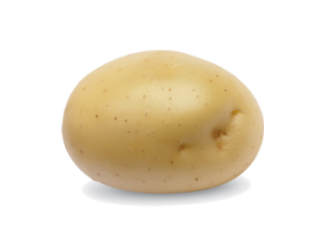 Krompir