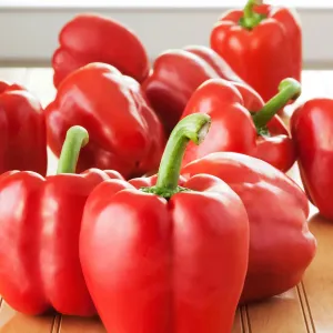 Crvena paprika