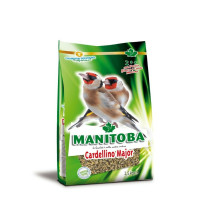 Manitoba Cardelino major - Hrana za divlje ptice (štiglići, ptice pevačice) 