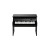 Korg Tiny Piano BK