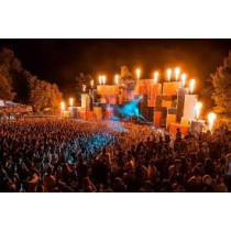 LOVE FEST - festival