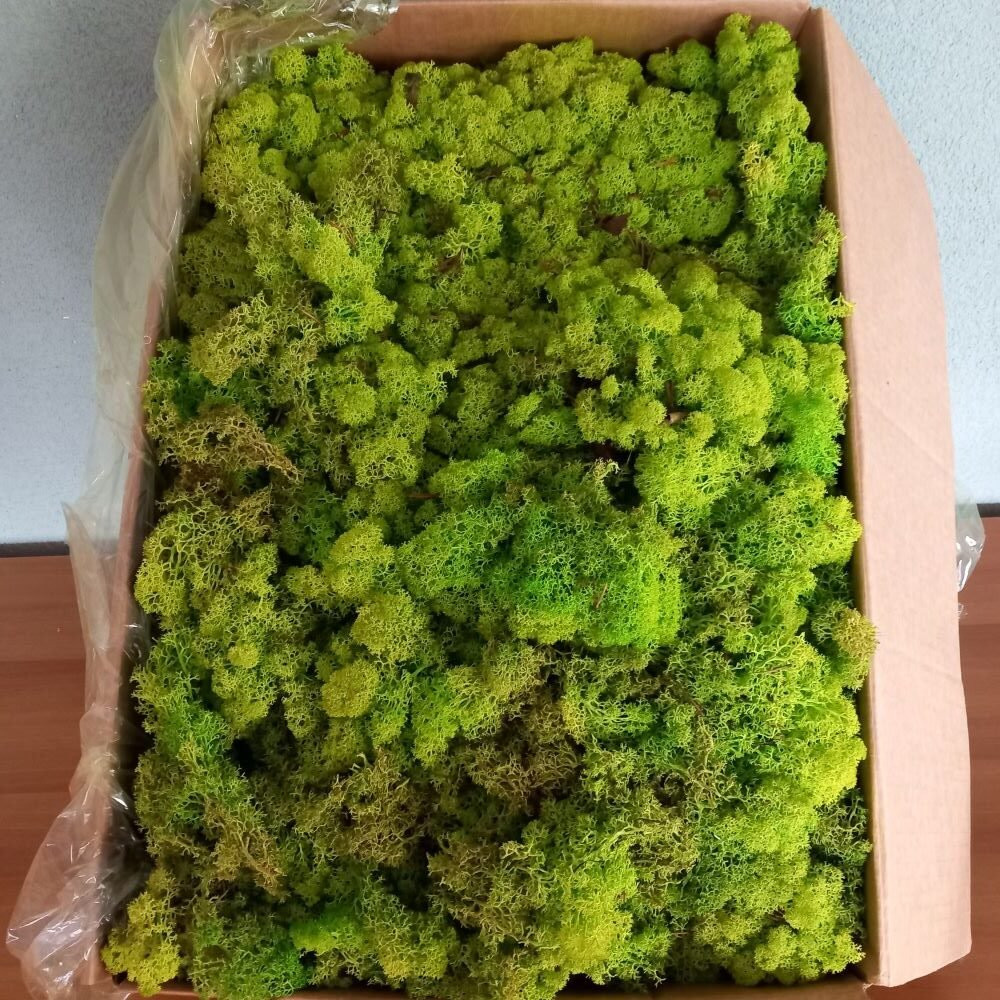 Ukrasna mahovina