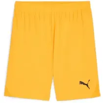 Puma teamGOAL Shorts