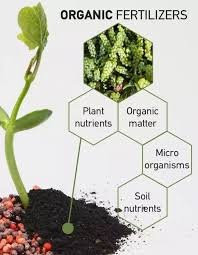 Djubrivo PlantCare