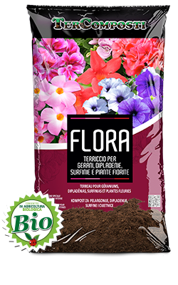 Flora zemlja sa saksijsko cvece