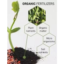 Djubrivo PlantCare