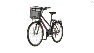 Explorer elite lady city bicikla sivo ljubičasta-lad267s