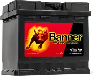 Banner Starting Bull 545 09