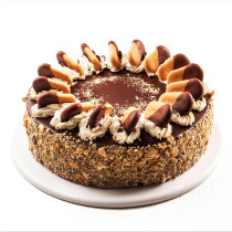 Torta od plazme
