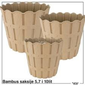 Bambusova saksija