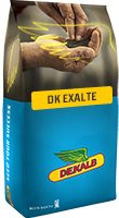 DK uljana repica EXALTE