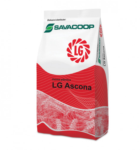 LG psenica ASCONA