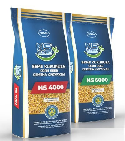 NS kukuruz 6000 (FAO 600) + Force