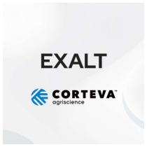 Exalt