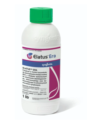 Elatus Era 1/1
