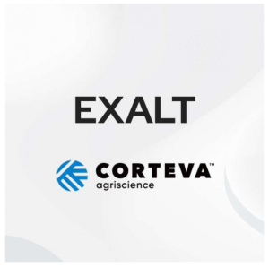 Exalt