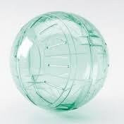Lopta za glodare