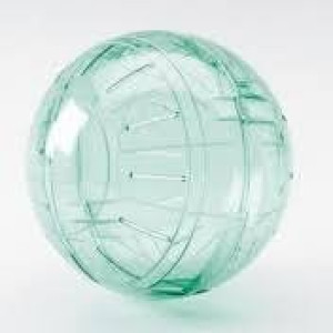 Lopta za glodare