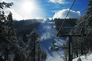 ZLATIBOR (10 DANA)