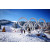 JAHORINA (7 DANA)