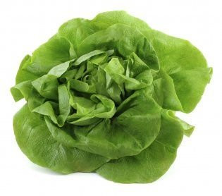 Zelena salata 1kg