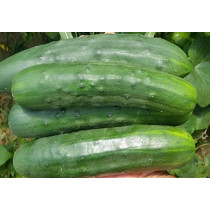 Krastavac 1kg