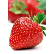 Jagode 500g