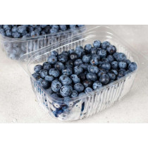 Organske Borovnice 500ml