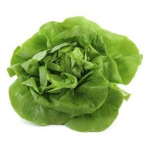 Zelena salata 1kg