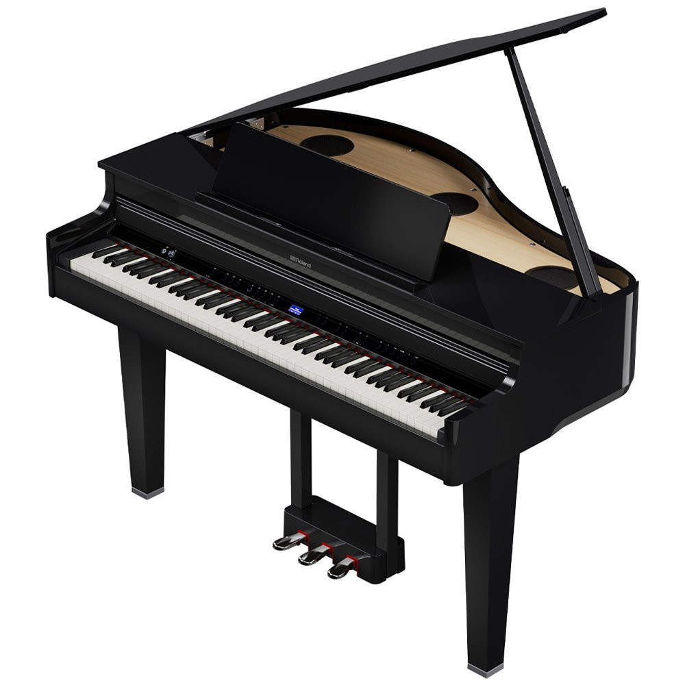 Roland GP-6PE Mini