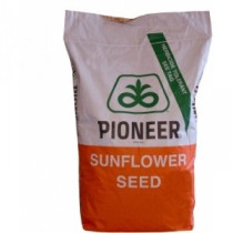 Pioneer P64LE25