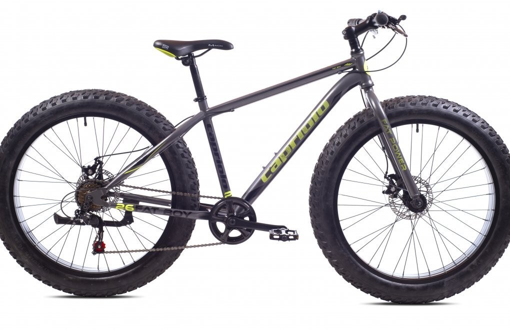 FAT BOY 26 siva