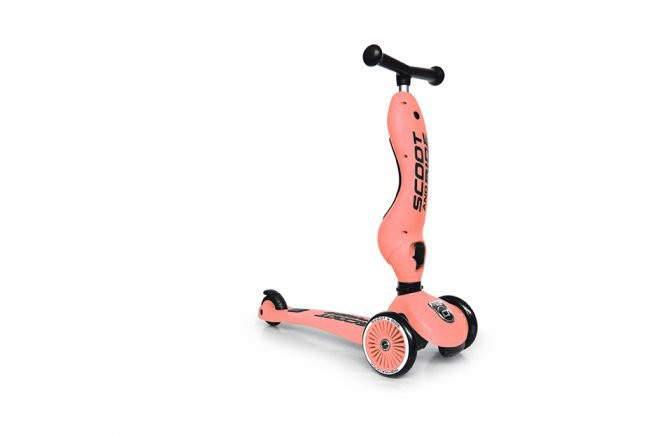 TROTINET Highwaykick 1