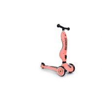 TROTINET Highwaykick 1