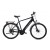 E-BIKE ECO 700.3.1 MAN 