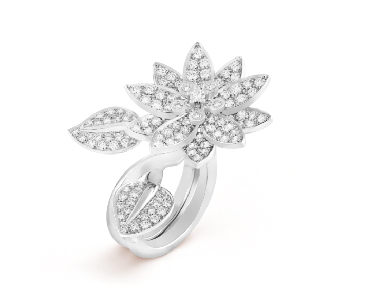 Lotus Between the Finger Ring